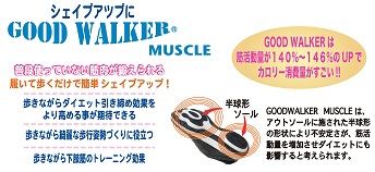 Good Walker Muscle explanation